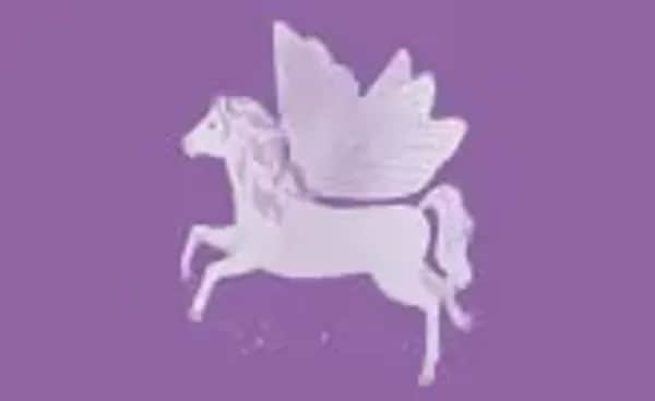 Step by Step Jausenbox Pegasus Emily