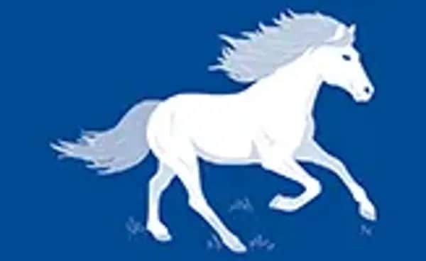 Step by Step Jausenbox Wild Horse Ronja