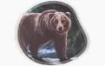 Ergobag Konturklettie Grizzly Bär