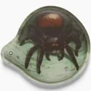 Ergobag Klettie blinkend Spinne